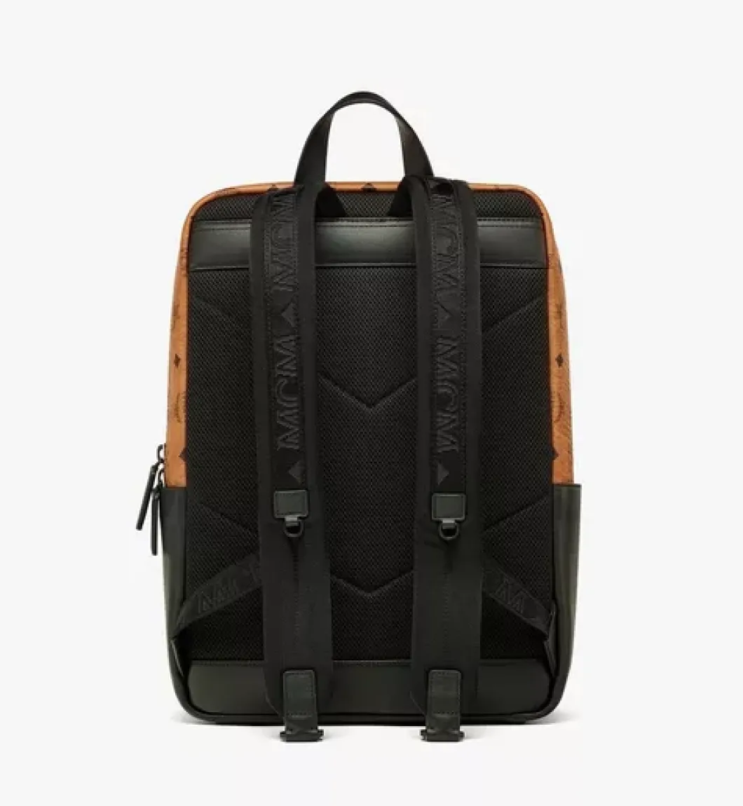 Aren Backpack In Visetos