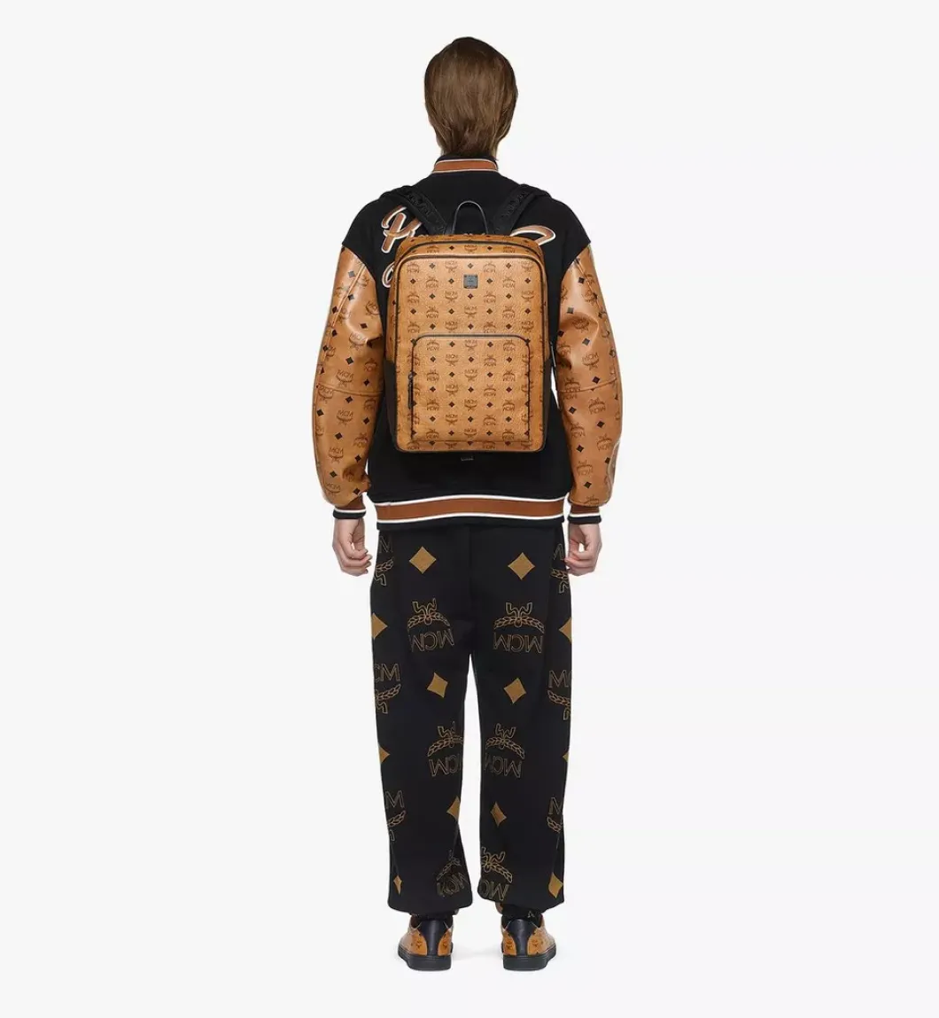 Aren Backpack In Visetos