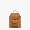 Aren Drawstring Backpack In Visetos