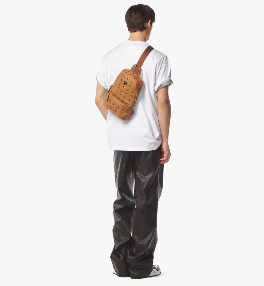 Aren Sling Bag In Visetos