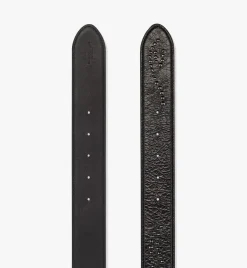 Aren Studded Belt 1.5