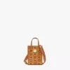Aren Tote In Visetos