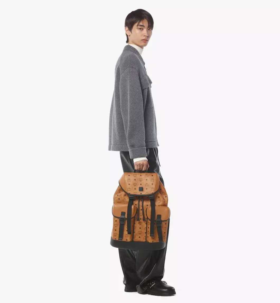 Brandenburg Backpack In Visetos