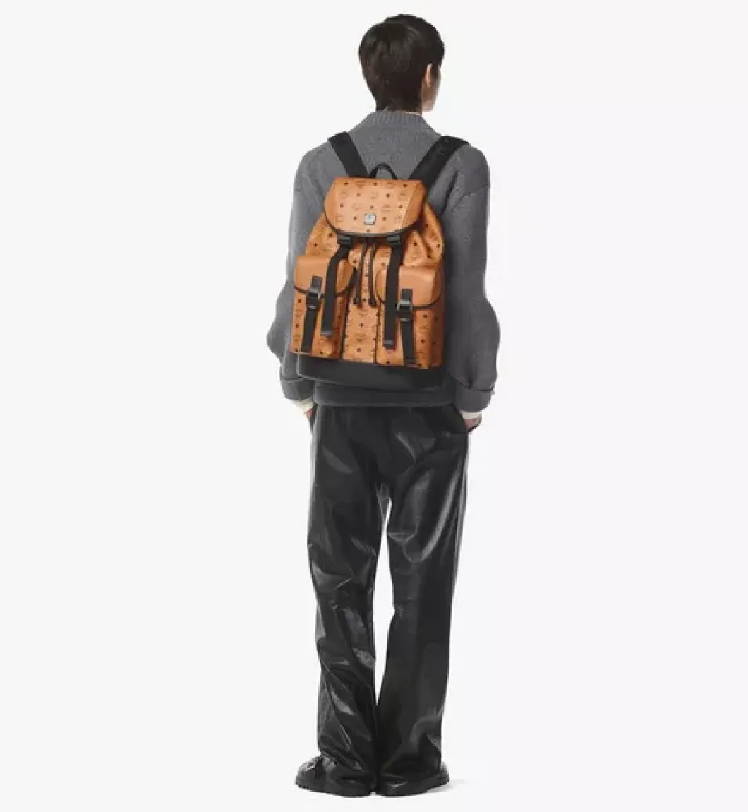 Brandenburg Backpack In Visetos