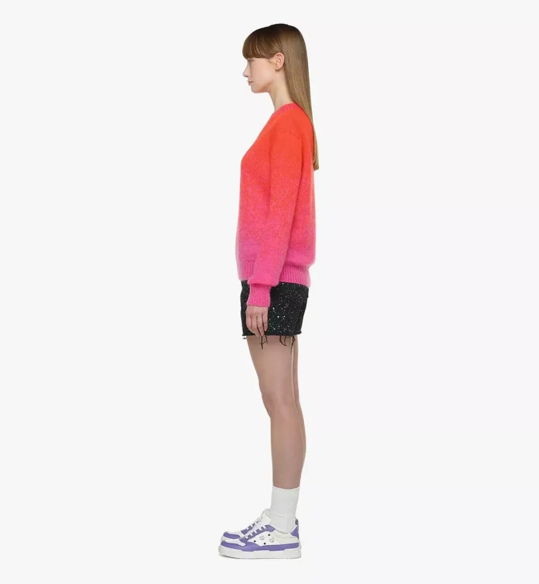 Jacquard Sweater In Gradation Mohair