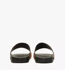 Maxi Visetos Slides
