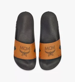 Maxi Visetos Slides