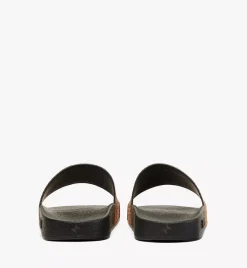Maxi Visetos Slides