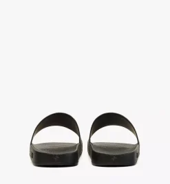 Maxi Visetos Slides