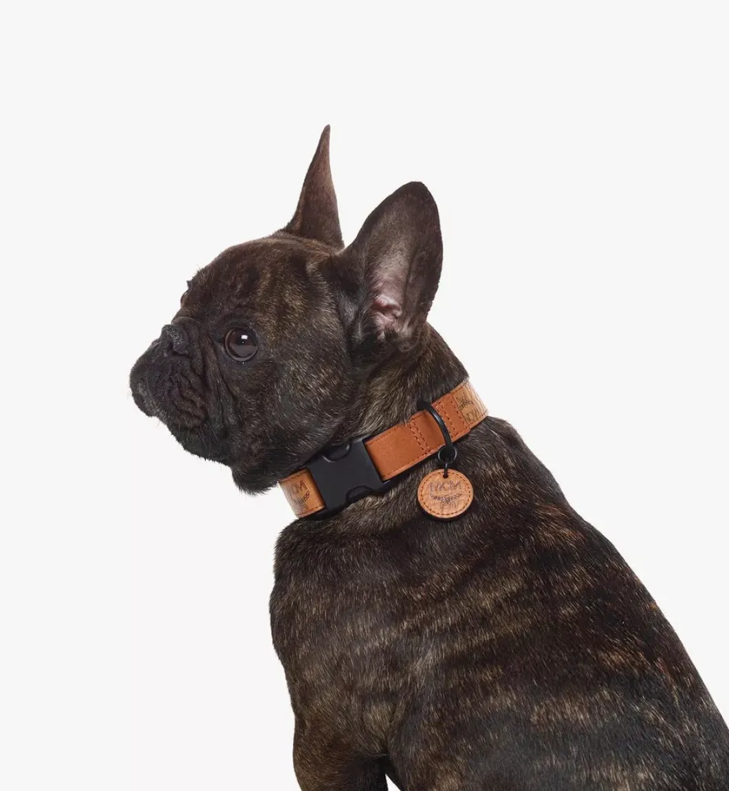 Pet Collar In Visetos