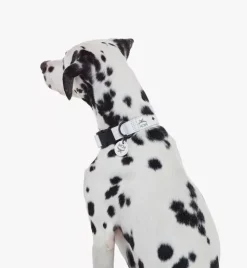 Pet Collar In Visetos