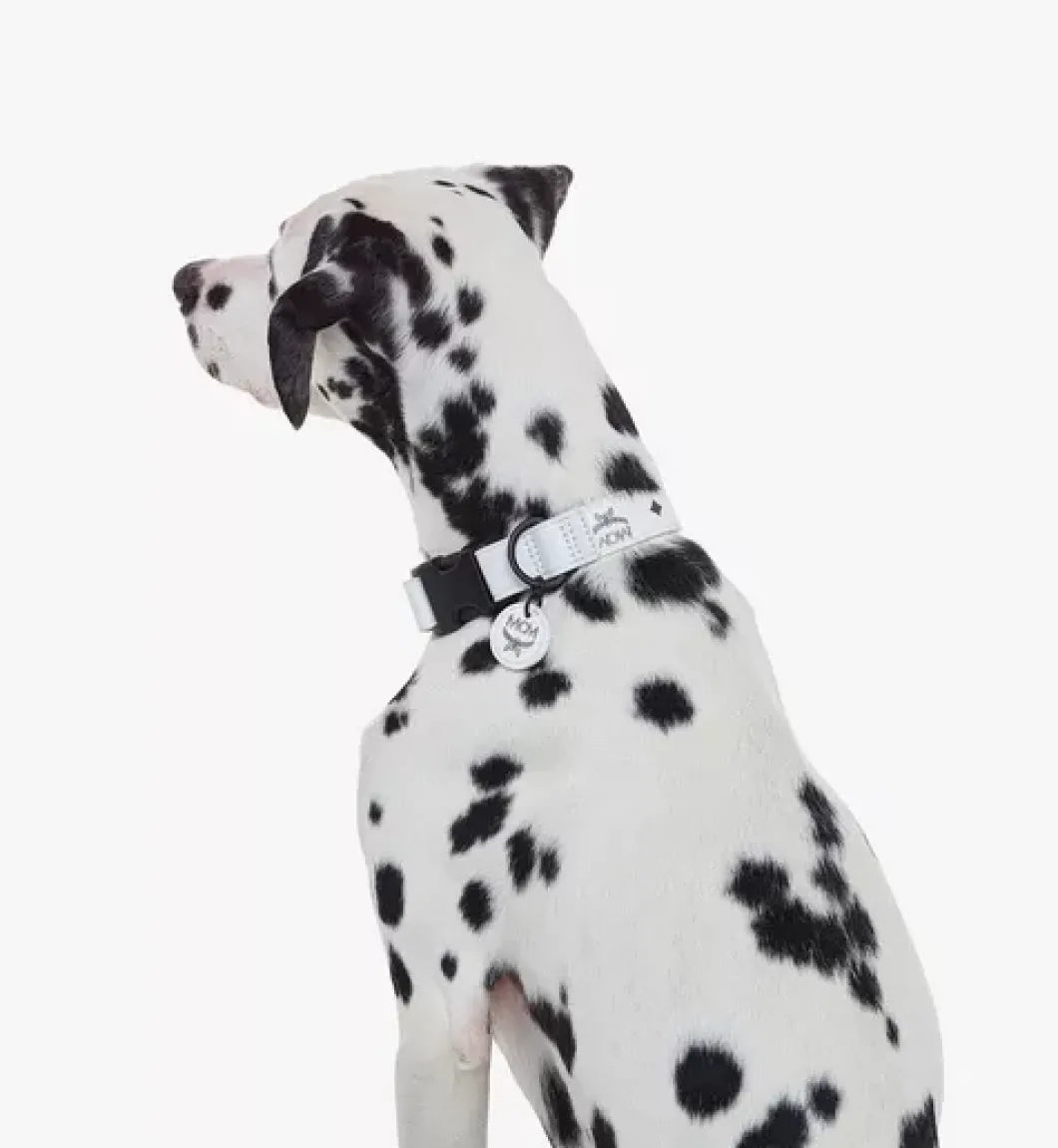 Pet Collar In Visetos