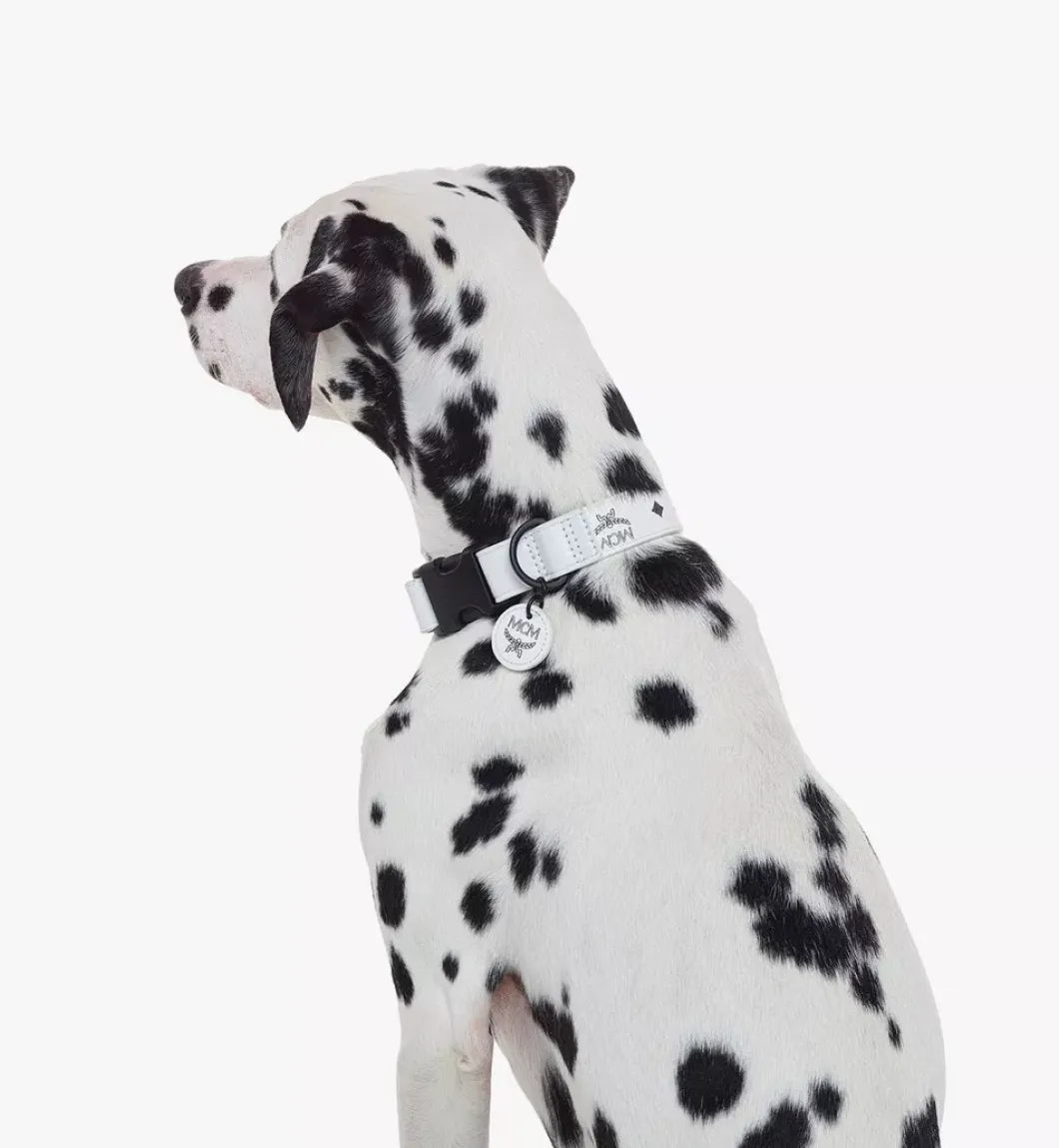 Pet Collar In Visetos