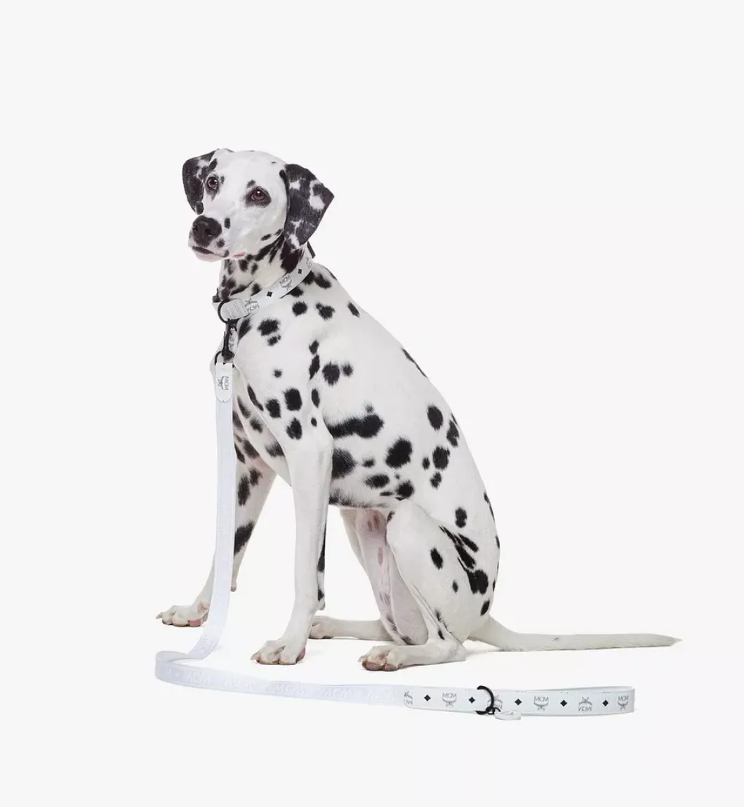 Pet Leash In Visetos
