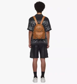 Retro M Studs Stark Backpack In Visetos