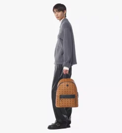 Stark Backpack In Visetos