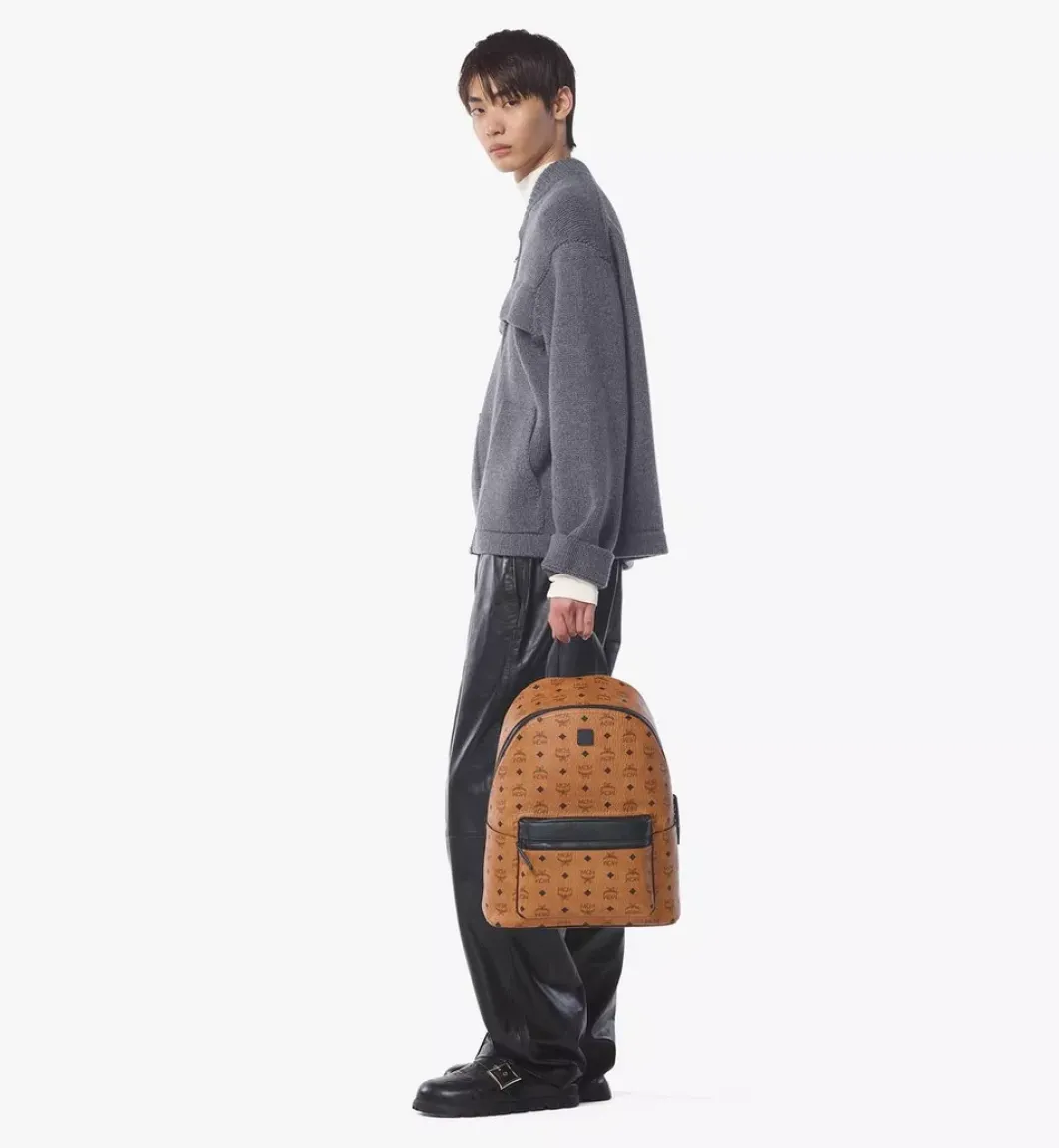 Stark Backpack In Visetos