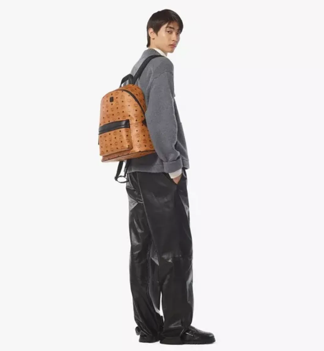 Stark Backpack In Visetos