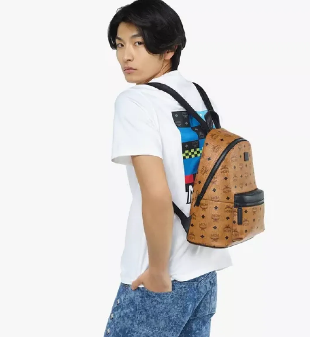Stark Backpack In Visetos