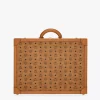 Suitcase In Visetos