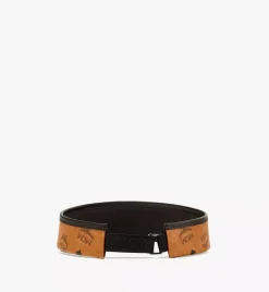 Vinyl Visor In Visetos